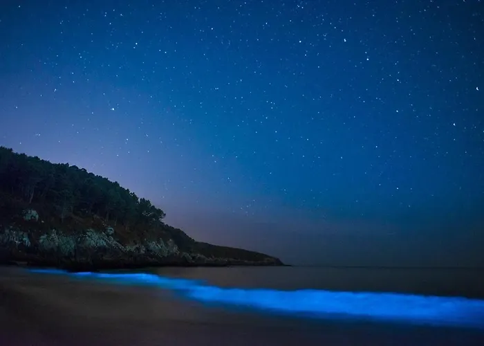 A Caseta ア・コルーニャ